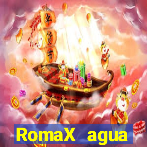 RomaX agua sanitaria fispq agua sanitaria romax